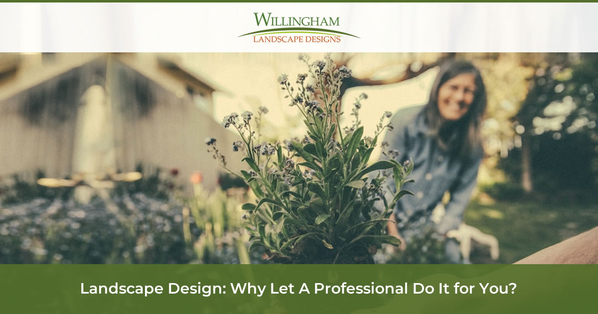 Landscape Design Why Let A Professional Do It for You?